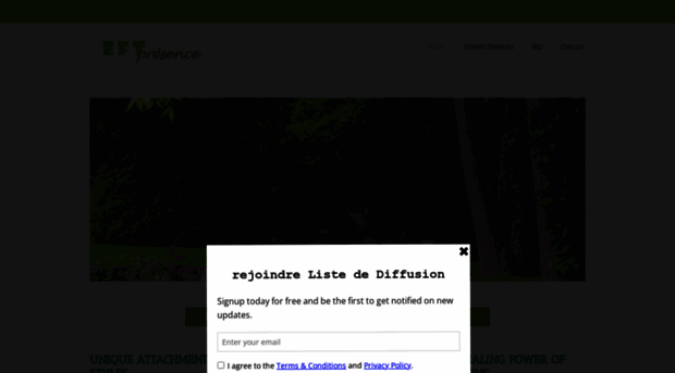 eftpresence.com