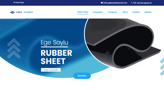 egesoylukaucuk.com