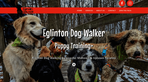 eglintondogwalker.ca