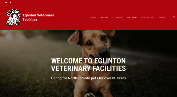 eglintonvet.com