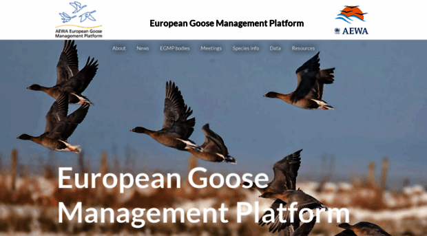 egmp.aewa.info