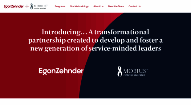 egonzehnder-mobius.com