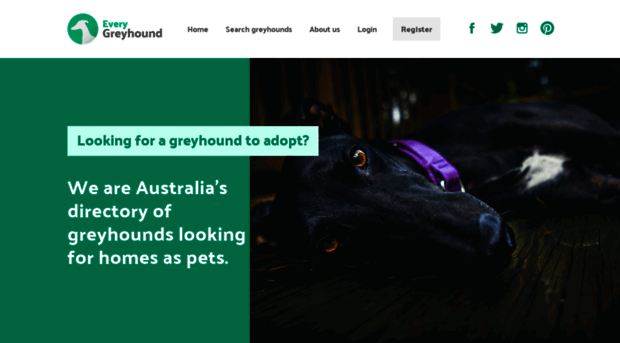 egreyhound.com.au