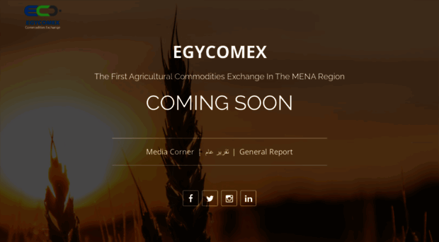 egycomex.com