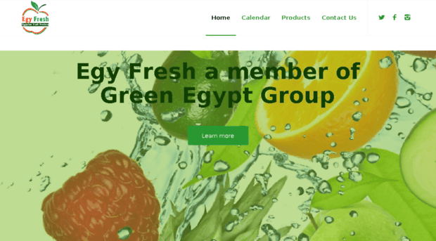 egyfresh.net