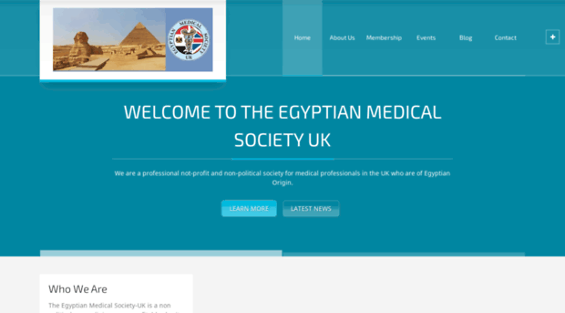 egyptianmedical.org.uk