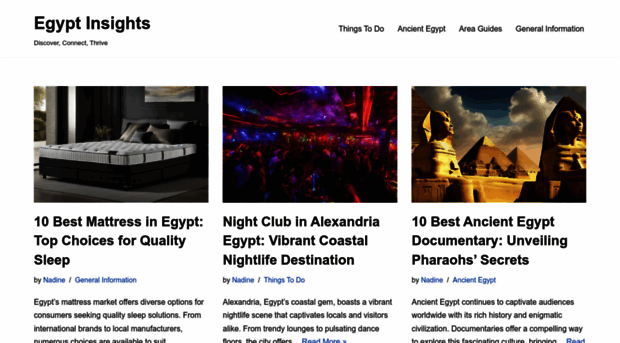 egyptinsights.com