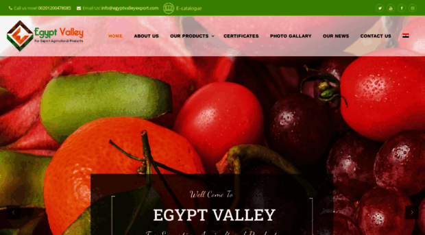 egyptvalleyexport.com