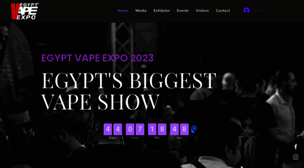 egyptvexpo.com