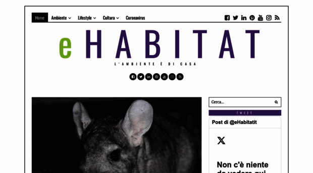 ehabitat.it