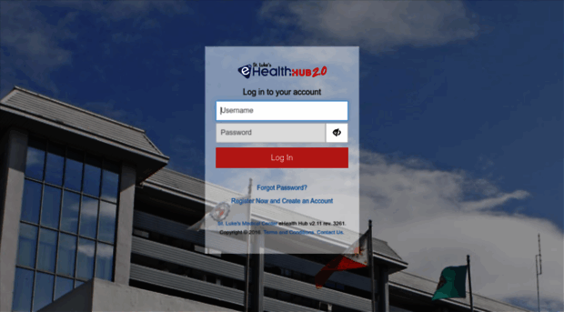 ehub.stlukesmedicalcenter.com.ph