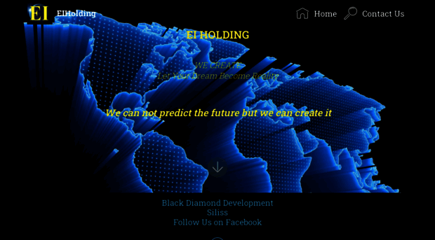 eiholding.com