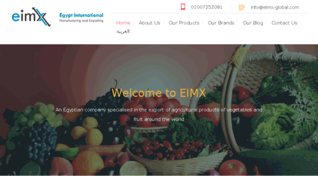 eimx-global.com