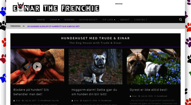 einarthefrenchie.com