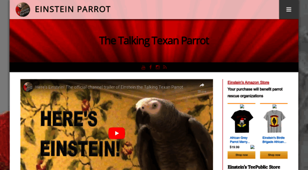 einsteinparrot.com