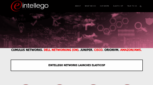 eintellegonetworks.com