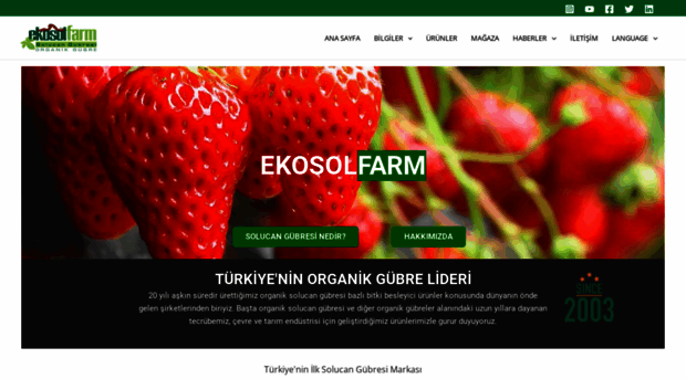 ekosol.net