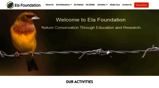 elafoundation.org