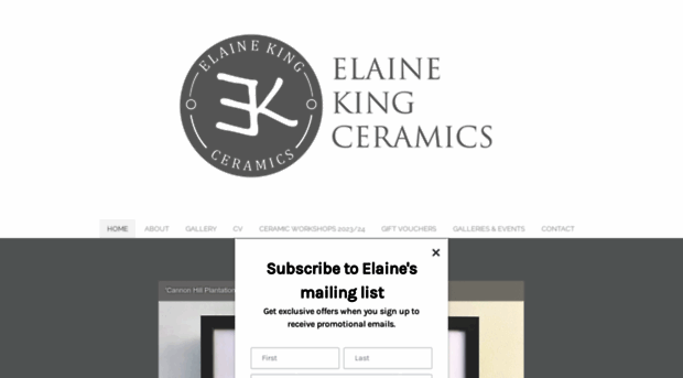 elainekingceramics.co.uk