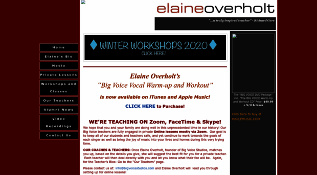 elaineoverholt.com