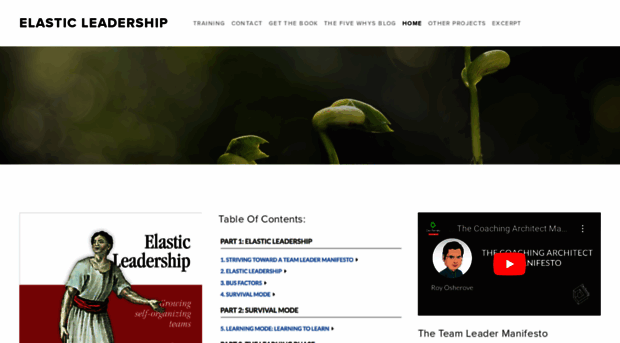 elasticleadership.com