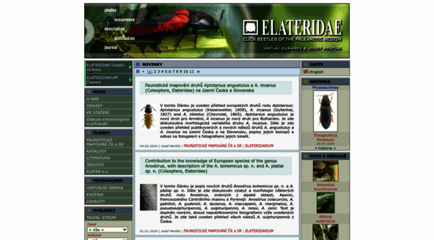 elateridae.com