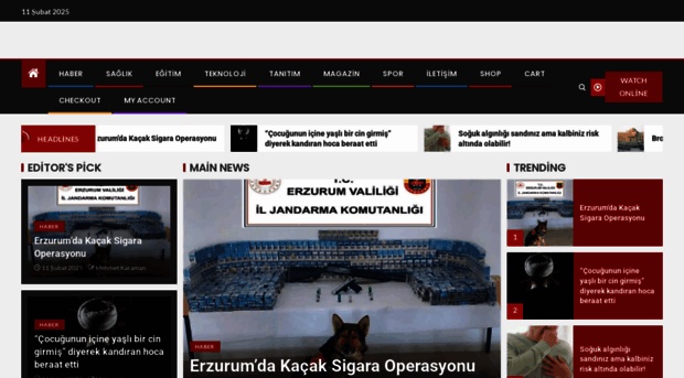elazig-ekonomi.com.tr