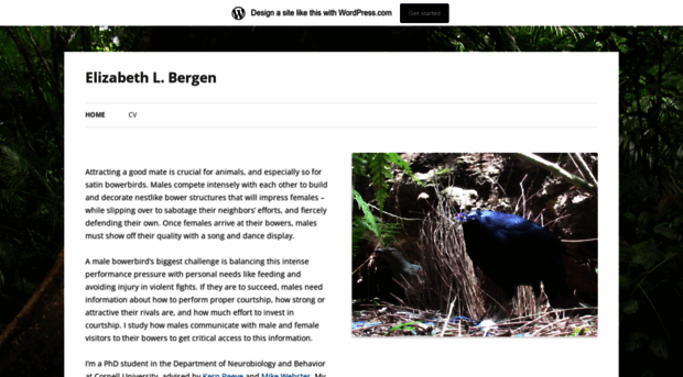 elbergen.wordpress.com