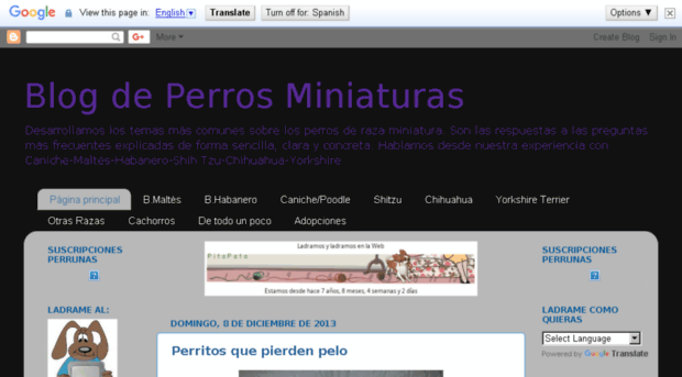 elblogdeperrosminiaturas.blogspot.com.ar