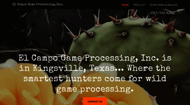 elcampogameprocessing.com