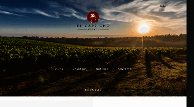 elcaprichowinery.com