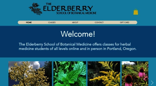 elderberryschool.com