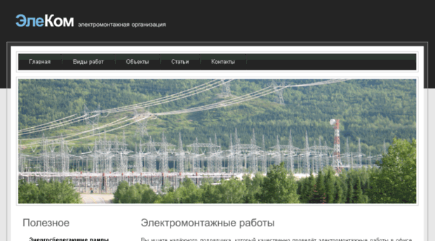 elecomspb.ru