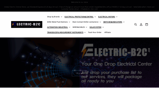 electric-b2c.com