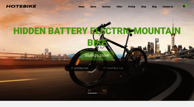 electricbicycleblog.com