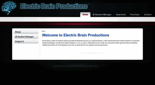 electricbrainproductions.com