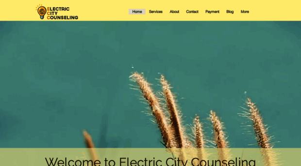 electriccitycounseling.org