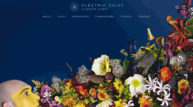 electricdaisyflowerfarm.co.uk