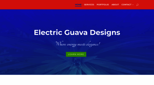 electricguavadesigns.com