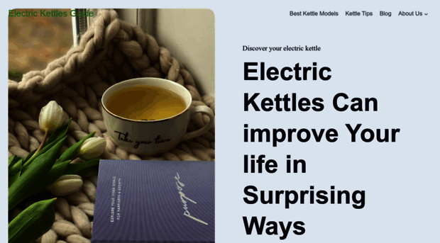 electrickettlesguide.com