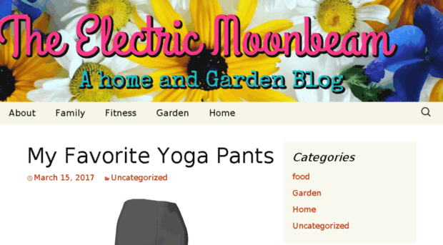 electricmoonbeam.com