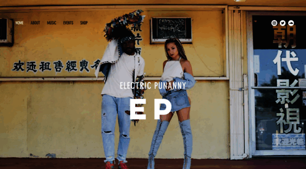 electricpunanny.com