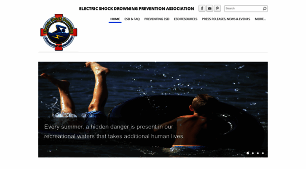 electricshockdrowning.org