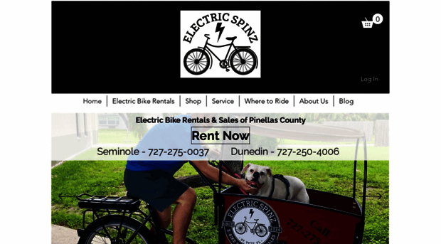 electricspinz.com