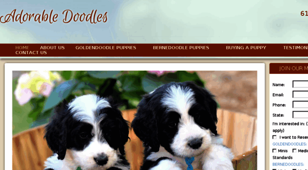 elegantpuppies.com