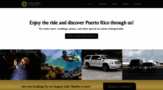 elegantsteering.com