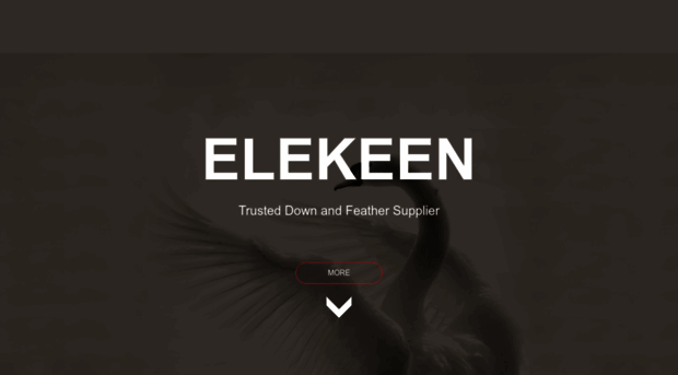 elekeen.com