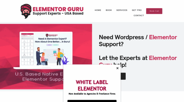 elementorguru.com