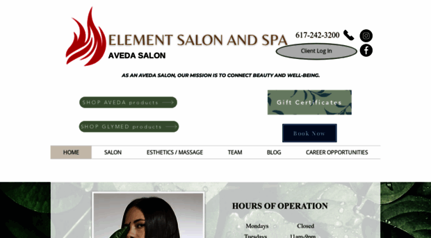 elementsalonspa.net