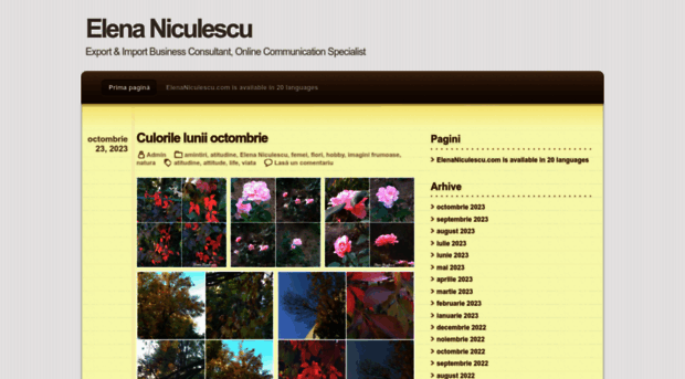 elenaniculescu.com